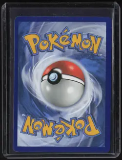 2019 Pokemon Sun & Moon Black Star Promo #SM230 Charizard & Braixen GX - Image 2