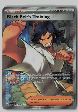 Pokemon Black Belt's Training 255/217 Ultra Rare Trainer Holo Full Art - Image 1