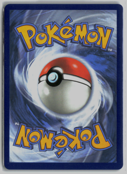 Pokemon Black Belt's Training 255/217 Ultra Rare Trainer Holo Full Art - Image 2