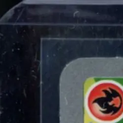 2025 POKEMON MEP BLACK STAR PROMO FIRST PARTNER ILLUSTRATION #044 LITTEN - Image 3