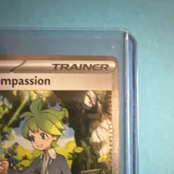 Pokemon Wally's Compassion 186/132 Special Illustration Rare Holo Trainer - Image 4