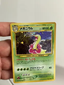 Pokemon Neo Genesis Meganium holo Japanese 🤓 Look At Pics For Condition - Image 1