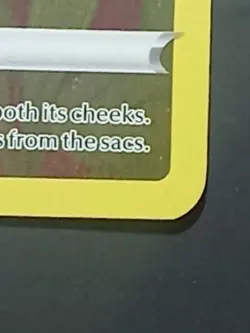 Pokemon TCG Pikachu 005/025 Celebrations Holo Rare English 60 HP Card - Image 5