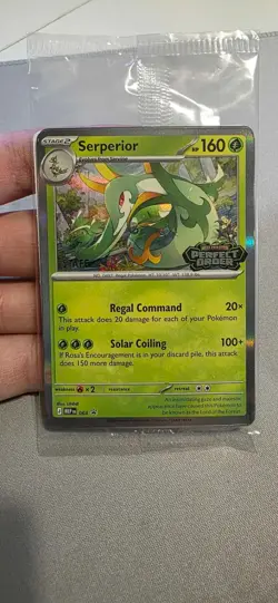 Pokemon Perfect Order Prerelease Staff Promos - Sealed MEP 064-067 - Image 1