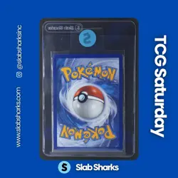 2025 POKEMON DESTINED RIVALS #186/182 CRUSTLE ILLUSTRATION RARE - Image 2