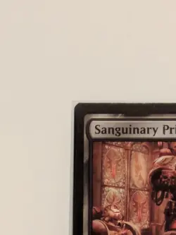 MTG - Unplayed Sanguinary Priest Warhammer 40k Regular - Cardback Print Error - Image 2