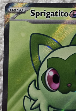 Pokemon Sprigatito ex 251/217 ASC Full Art Holo Rare Grass Basic Card MINT - Image 2