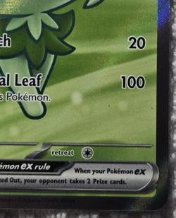 Pokemon Sprigatito ex 251/217 ASC Full Art Holo Rare Grass Basic Card MINT - Image 4