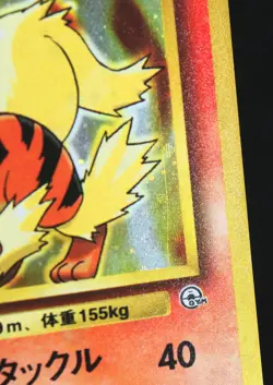Blaine's Arcanine Holo Pokemon Japanese Gym Heroes #59 - Image 2