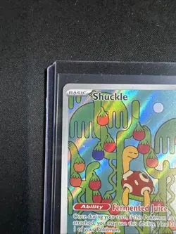 2025 Pokemon Mega Evolution Shuckle Illustration Rare #136/132 - Image 2