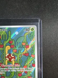 2025 Pokemon Mega Evolution Shuckle Illustration Rare #136/132 - Image 3