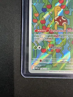 2025 Pokemon Mega Evolution Shuckle Illustration Rare #136/132 - Image 5