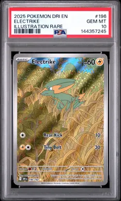 2025 POKEMON DRI EN-DESTINED RIVALS #196 ELECTRIKE ILLUSTRATION RARE PSA 10 - Image 1
