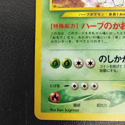 Meganium 154 JP Neo Premium File 1 Holo (Japanese) Vintage Pokemon - Image 5