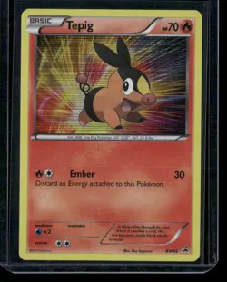 Pokemon Black and White Promos #BW02 Tepig Holo - LP - Image 1