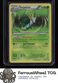 Serperior BW20 - Black and White Promos - (LP-/MP+) - Image 1