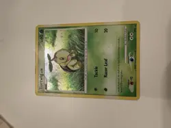 Pokemon Turtwig DP01 Diamond & Pearl Promo Holo Basic 60 HP TCG Card 2007 - Image 1