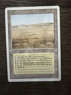 Savannah - - Lightly played - English - Revised Edition - Vintage-MTG - Image 1