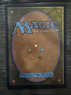 Savannah - - Lightly played - English - Revised Edition - Vintage-MTG - Image 2