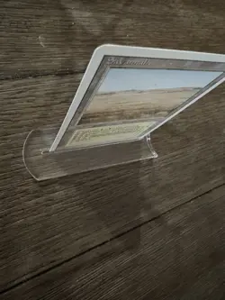 Savannah - - Lightly played - English - Revised Edition - Vintage-MTG - Image 4