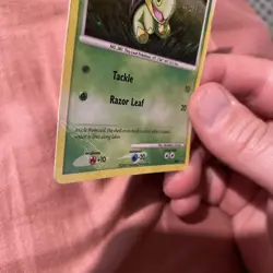 Turtwig | DP01 Promo Black Star | Holo SWIRL Rare !! | Pokemon TCG LP - Image 3