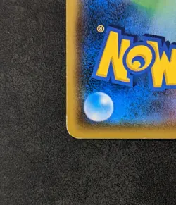 Pokemon TCG Alolan Meowth 255/SM-P Japanese Sun & Moon Gym Promo 2018 - Image 5