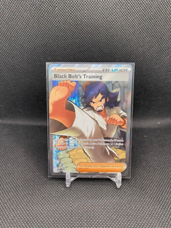 Pokemon TCG: Ascended Heroes BLACK BELT'S TRAINING 255/217 FULL ART Rare - Image 1