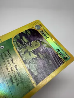 Pokemon Bayleef 71/165 Expedition Reverse Holo Uncommon 2002 - Image 5