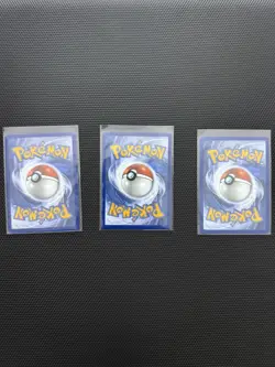 Pokemon TCG First Partner Illustration Collection Series 1 Kanto Starter Set - Image 2