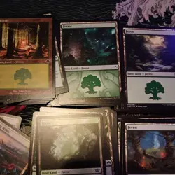 100 Assorted Magic The Gathering Basic Land Bundle. Forest MTG Job Lot (889) - Image 3