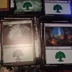 100 Assorted Magic The Gathering Basic Land Bundle. Forest MTG Job Lot (889) - Image 4
