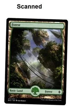 MTG Forest Basic Land *Full Art* Fate Reforged 2015 Near Mint Preowned - Image 1