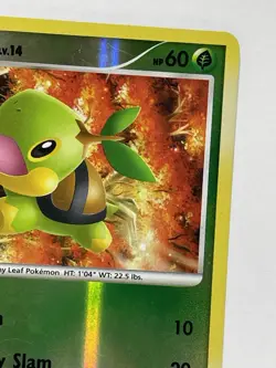 Pokemon - Platinum - Turtwig - Reverse Holo - Common - 101/127 - Image 3