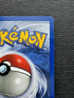 Pikachu Black Star Promo #26 Pokemon Snap Photo Pikachu WOTC 2001 DMG - Image 5