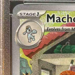 Machoke 2023 Pokemon SV 151 #177/165 Illustration Rare PSA 9 - Image 3