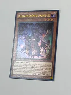 Yugioh - The Phantom Knights of Ancient Cloak - WIRA-FR001 - LP 1st French 2016 - Image 3