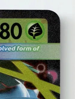 MEGA VENUSAUR EX - 013 013 HOLO PROMO ME: MEGA EVOLUTION PROMO POKEMON NEAR MINT - Image 5