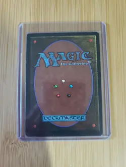 Savannah Revised Edition Regular - Image 2