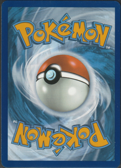 Zarude SVP 199 Cosmos Holo Black Star Promo Pokemon TCG Near Mint - SWIRL - Image 2