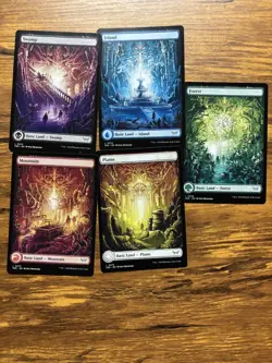 MTG - Duskmourn - Full art Land lot - Image 1