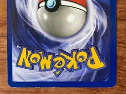 Pidgeot Jungle 1st Edition 1999 Non-Holo Rare Pokemon TCG 24/64 Vintage Card - Image 5