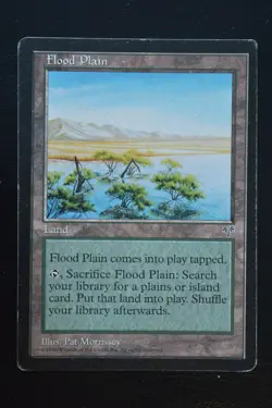 Magic The Gathering MTG FLOOD PLAIN Mirage MP Moderately Played - Image 1