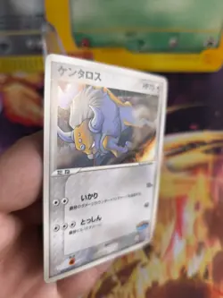 Pokemon Karte Card Tauros Pokepark Blue Promo Safari Ex Vintage japanese Exc+ - Image 3