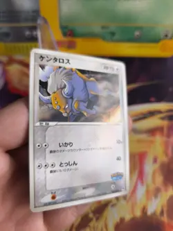 Pokemon Karte Card Tauros Pokepark Blue Promo Safari Ex Vintage japanese Exc+ - Image 5