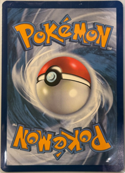 N's Reshiram #167/159 Illustration Rare Journey Together Pokemon 2025 NM - Image 2