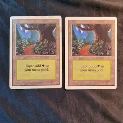 MAGIC THE GATHERING CARDS EARLY 1990's,FOREST #3 CHECK PICTURES BIDDING ON THESE - Image 1