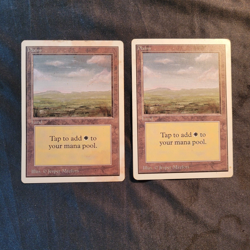 MAGIC THE GATHERING CARDS EARLY 1990's, PLAINS. CHECK PICTURES. BIDDING ON THESE - Image 1