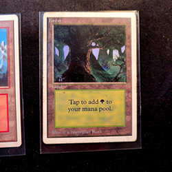 MAGIC THE GATHERING CARDS, MOUNTAIN LAND & FOREST (C ) UNLIMITED ED - Image 2