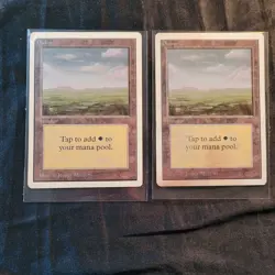 MAGIC THE GATHERING CARDS EARLY 1990's, PLAINS. CHECK PICTURES. (A3) - Image 1