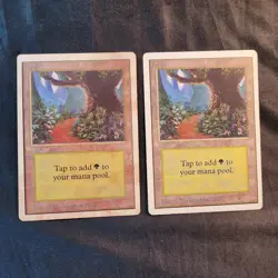 MAGIC THE GATHERING CARDS EARLY 1990's,FOREST #1 CHECK PICTURES BIDDING ON THESE - Image 1